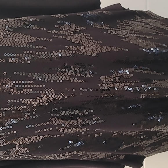 Dana Buchman Flowy Formal Blouse - Picture 3 of 10